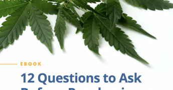 12 Questions to Ask Before Purchasing Cannabis Insurance ebook cover