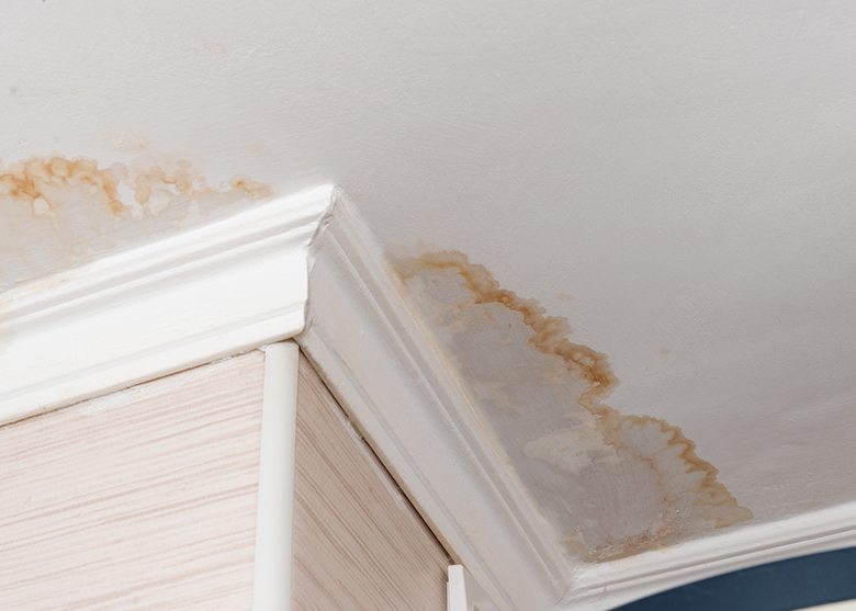 ceiling showing water damage