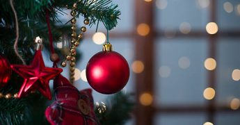 Shiny Christmas red ball hanging on pine branches with festive background
